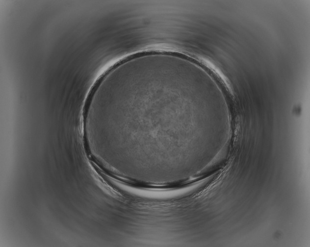 X0000095941372200801181351