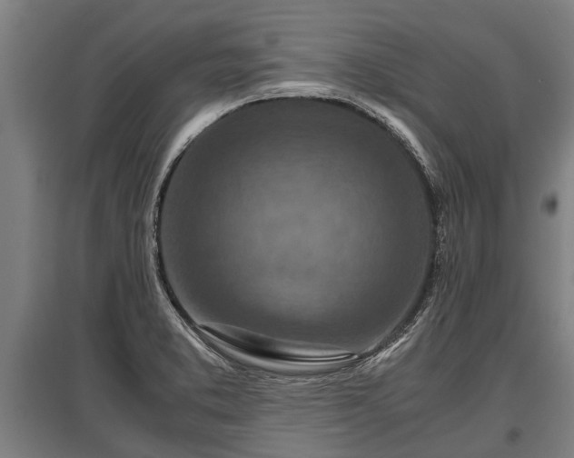 X0000095941373200801181351