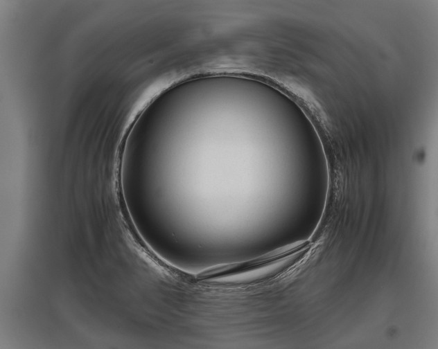 X0000095941374200801181351