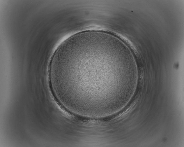 X0000095941375200801181351