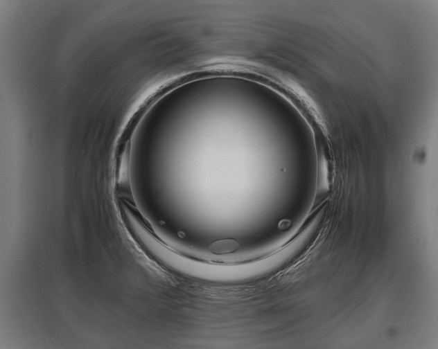 X0000095941376200801181351