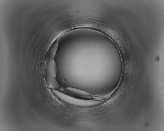X0000095941377200801181351