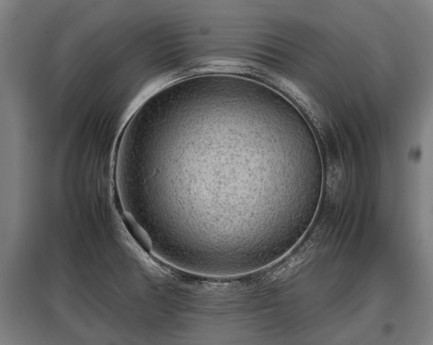 X0000095941378200801181351