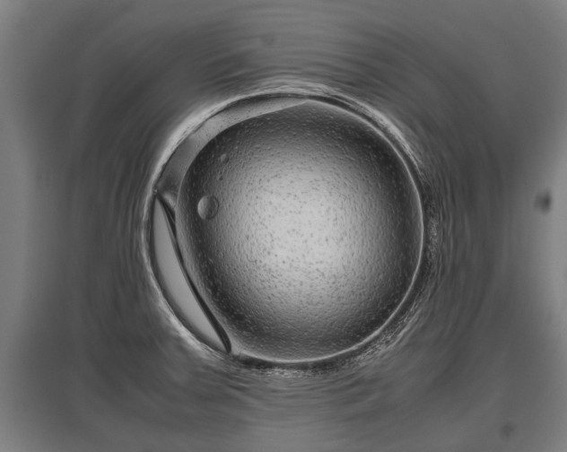 X0000095941379200801181351
