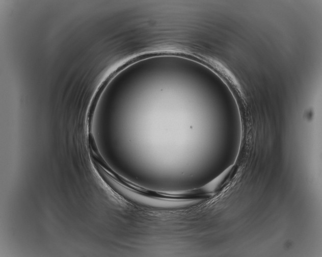 X0000095941380200801181351