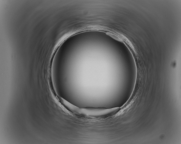 X0000095941381200801181351