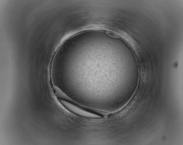X0000095941382200801181351