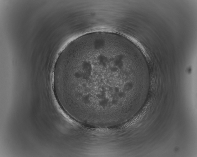 X0000095941383200801181351