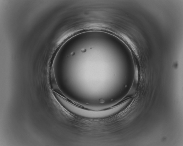 X0000095941384200801181351