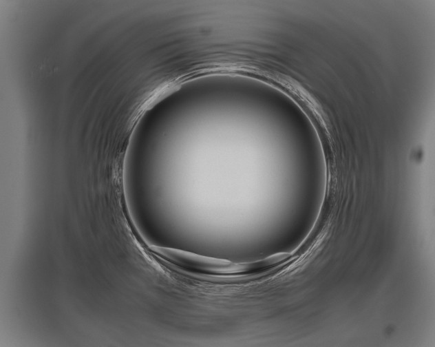 X0000095941385200801181351