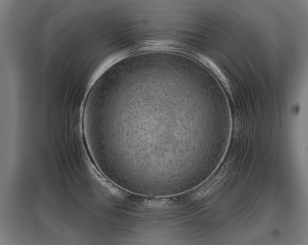 X0000095941386200801181351