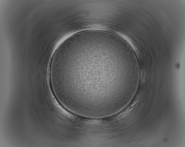 X0000095941387200801181351