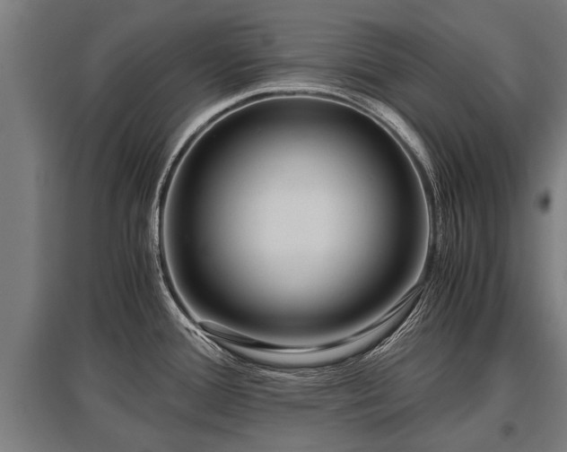 X0000095941388200801181351