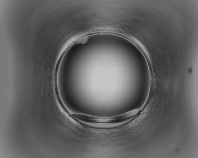 X0000095941389200801181351