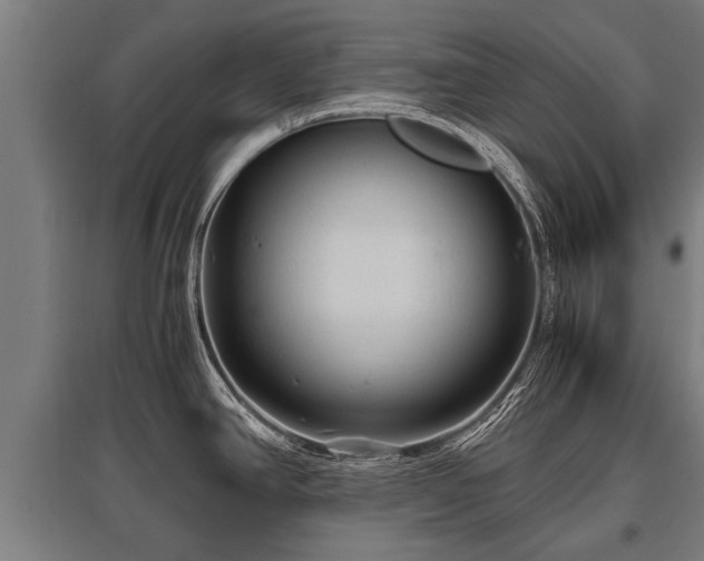 X0000095941390200801181351