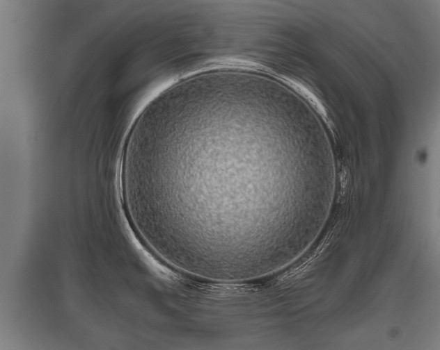 X0000095941391200801181351