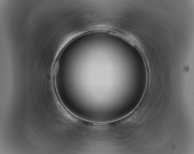 X0000095941392200801181351