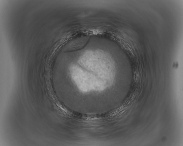 X0000095941393200801181350