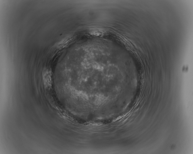 X0000095941394200801181350