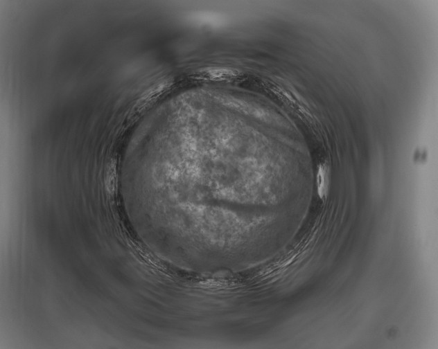 X0000095941395200801181350