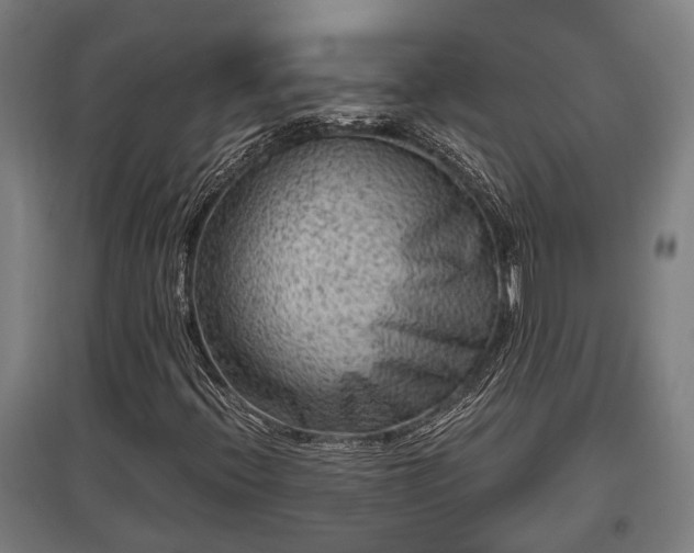 X0000095941396200801181350