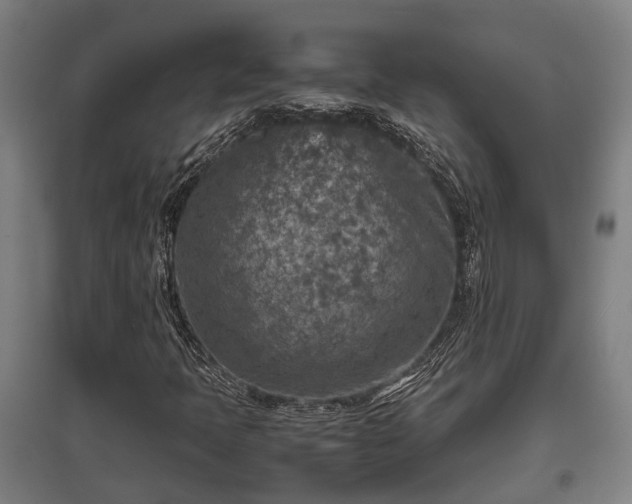 X0000095941397200801181350