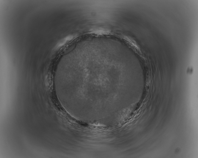 X0000095941398200801181350