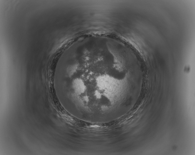 X0000095941399200801181350