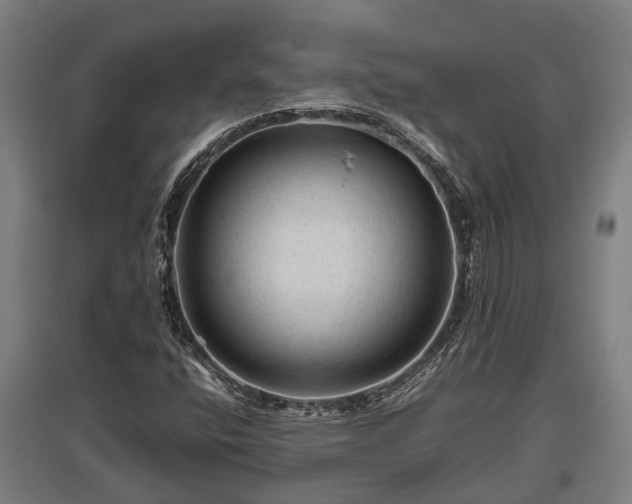 X0000095941400200801181350