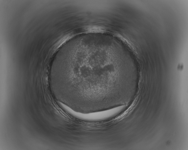 X0000095941401200801181350
