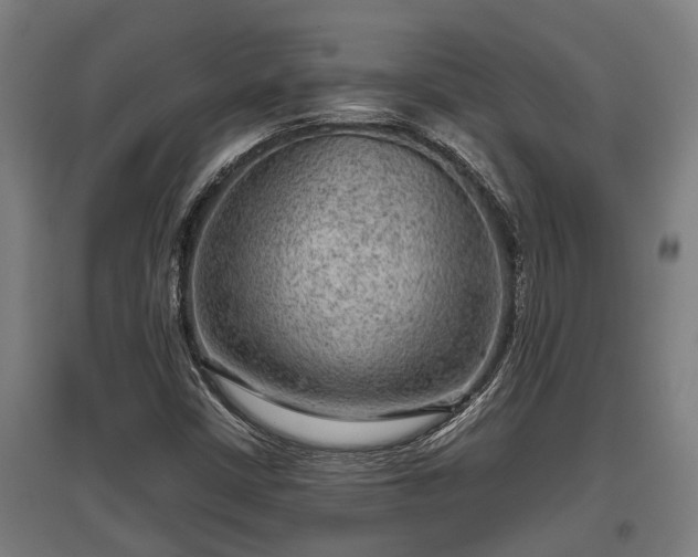 X0000095941402200801181350