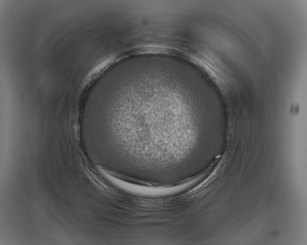 X0000095941403200801181350