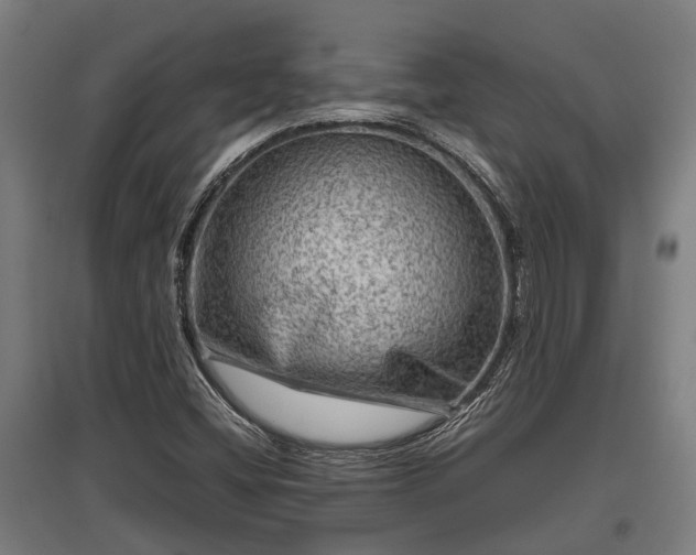 X0000095941404200801181350