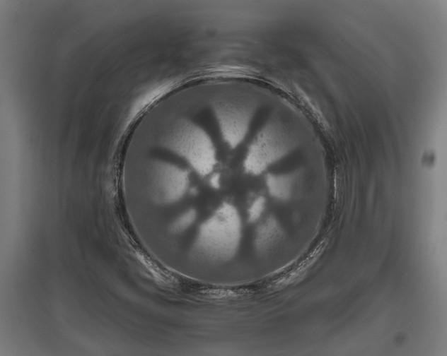 X0000095941405200801181350