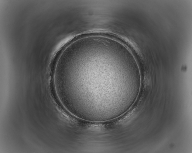 X0000095941406200801181350