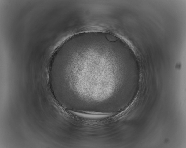 X0000095941407200801181350