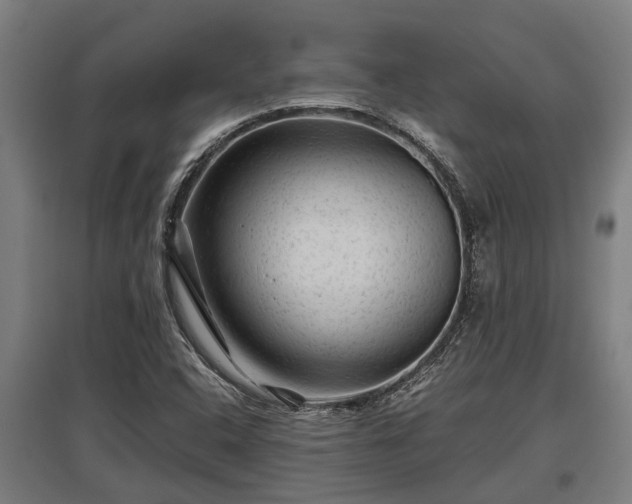 X0000095941408200801181350