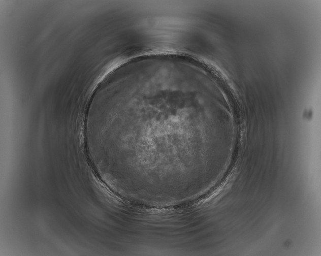 X0000095941409200801181350