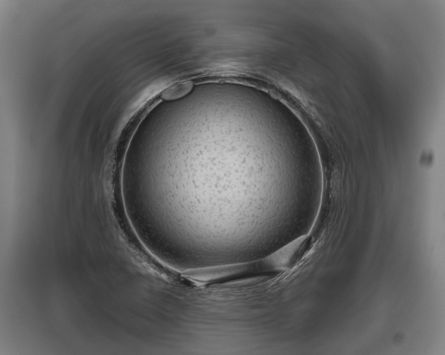 X0000095941410200801181350