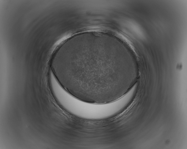 X0000095941411200801181350