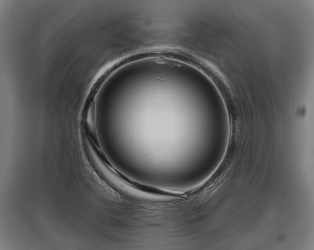 X0000095941412200801181350