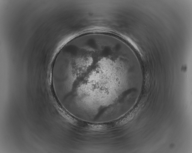X0000095941413200801181350