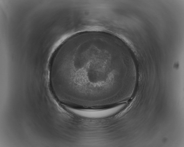 X0000095941414200801181350