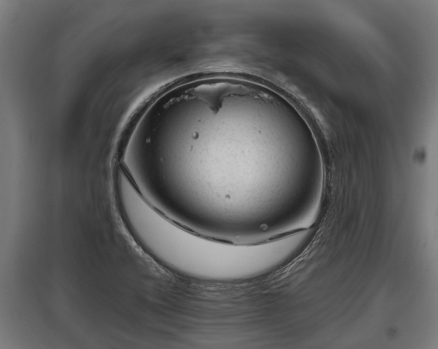 X0000095941416200801181351