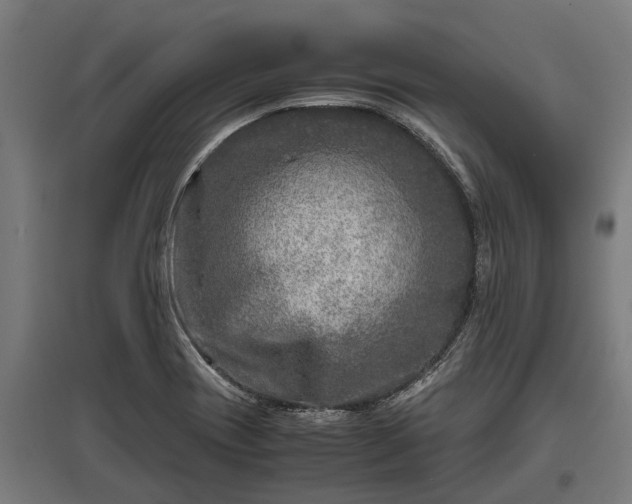 X0000095941417200801181351