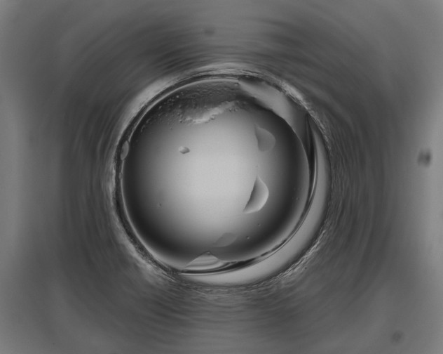 X0000095941418200801181351