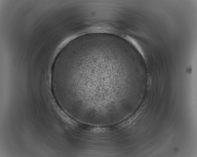X0000095941419200801181351