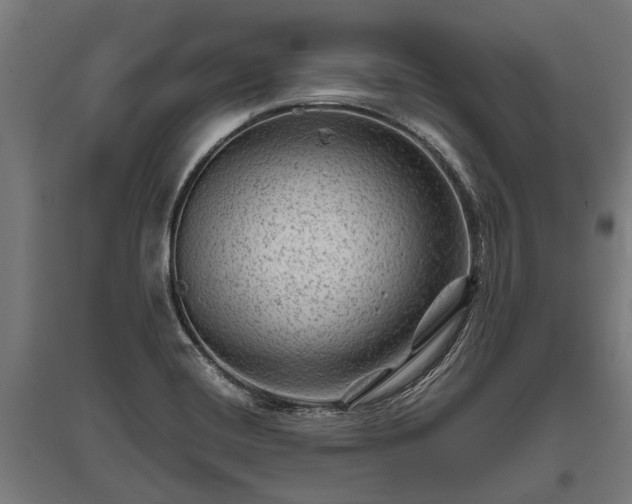 X0000095941420200801181351
