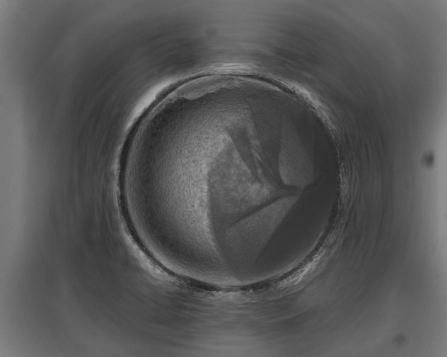 X0000095941422200801181351