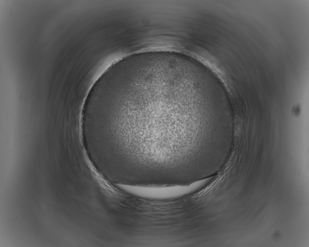 X0000095941423200801181351